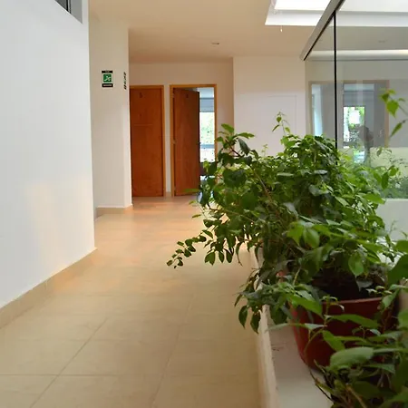 Hostal Casa Moma *
