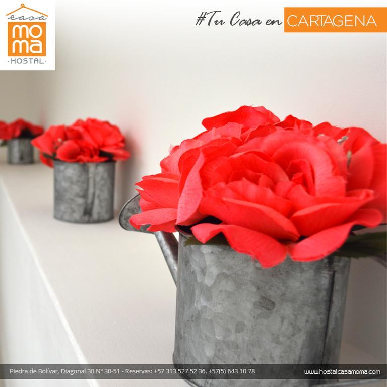 Hostal Casa Moma